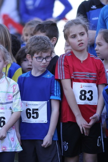 Lauf2 2 (29)